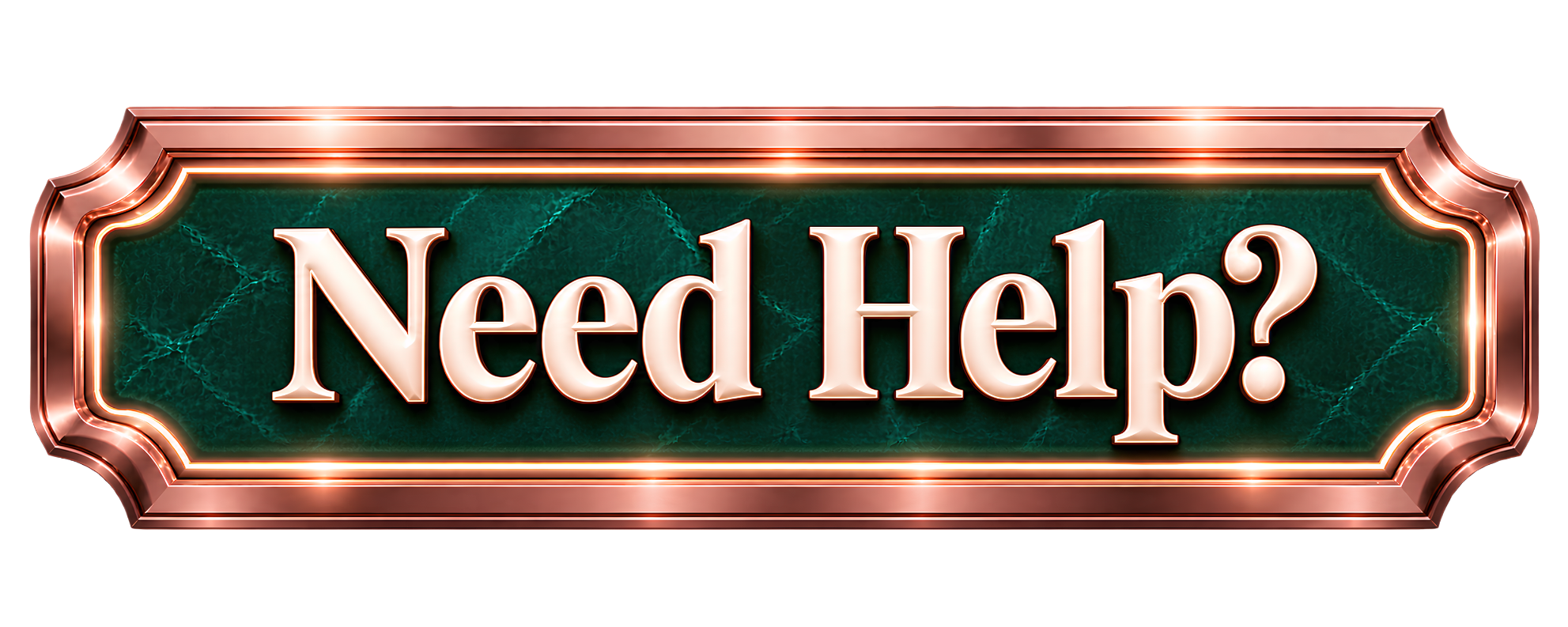 Need Help?